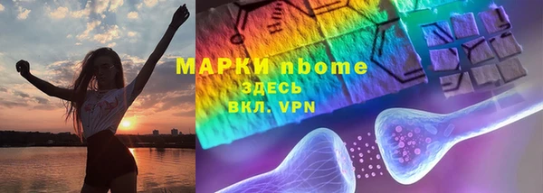 прущие грибы Белоозёрский
