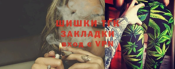 прущие грибы Белоозёрский