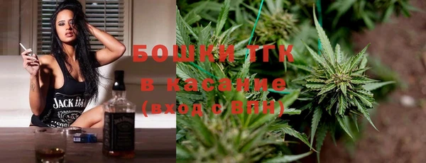индика Балабаново